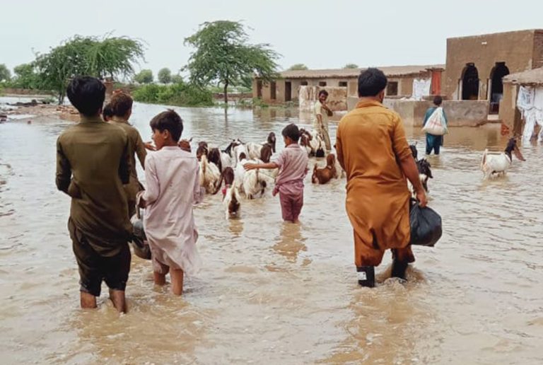 Floods in Pakistan: Malteser International teams in action against ...